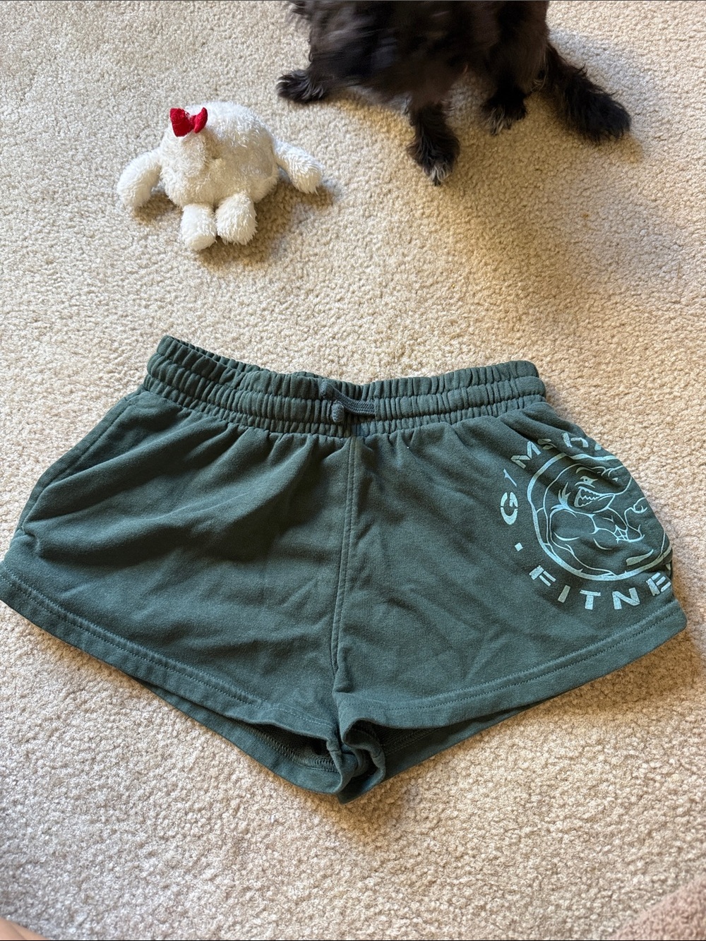 Gymshark Fitness Women's Green Athletic Shorts